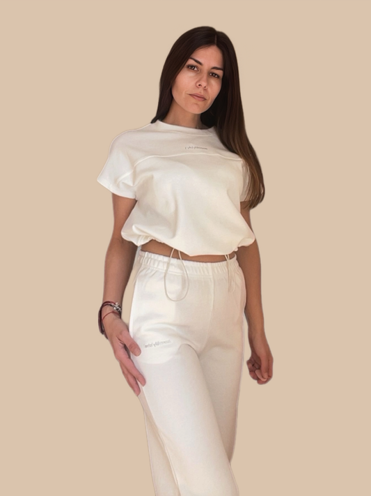 Soft Minimal Set