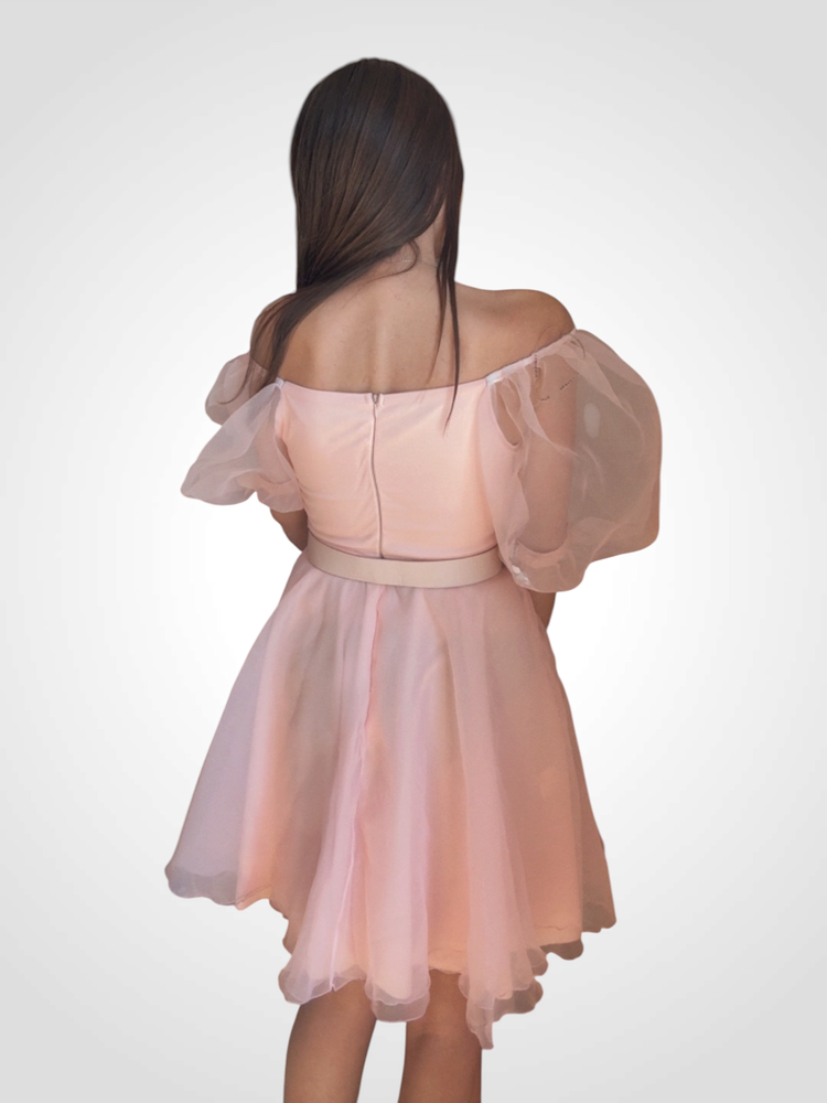 Рокля ,,Pink Fairy''